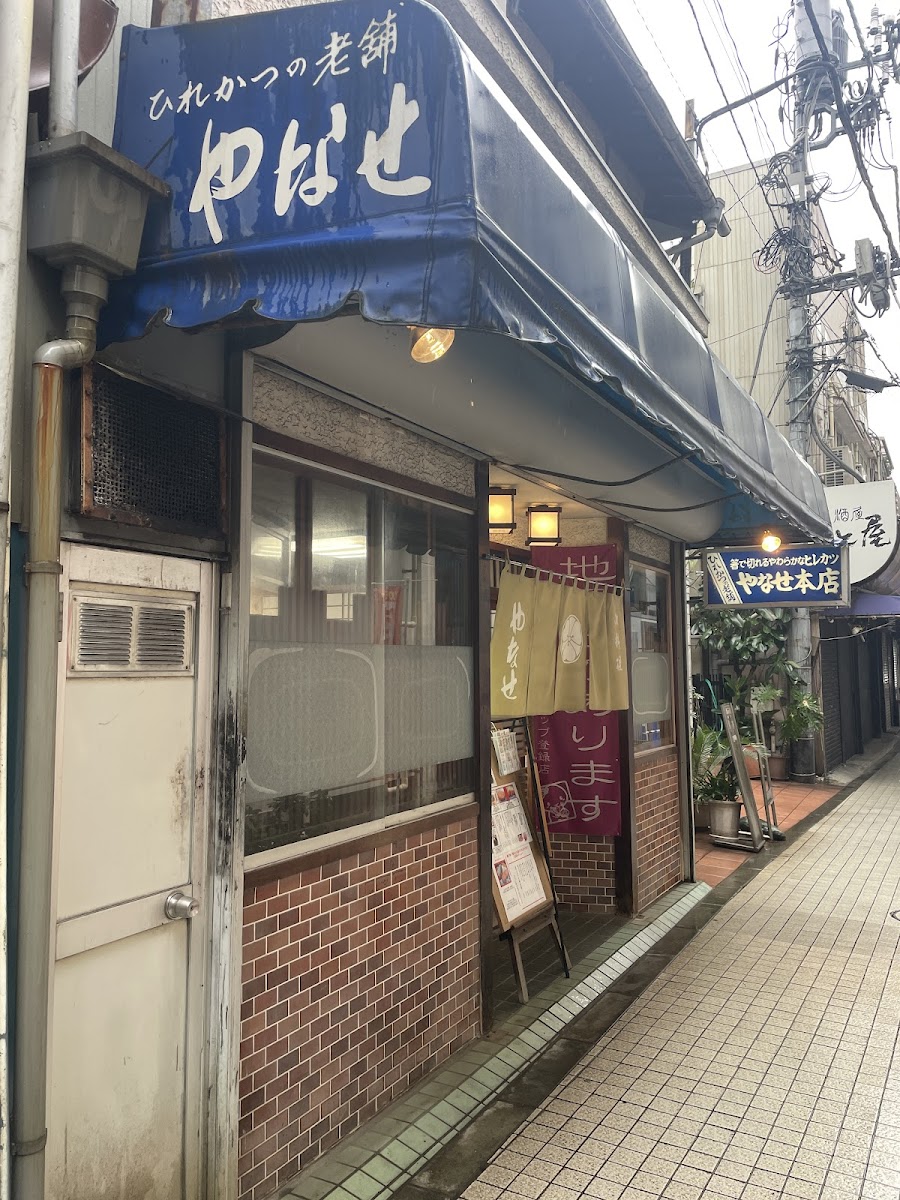 Hirekatsu Yanase Main Store